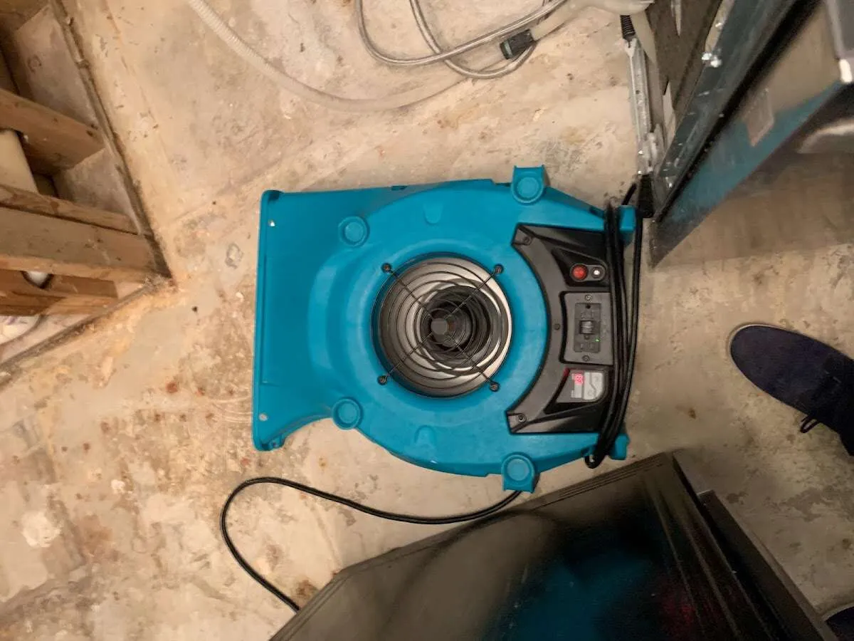 Air mover drying equipment for Mold Remediation & Removal in Trenton